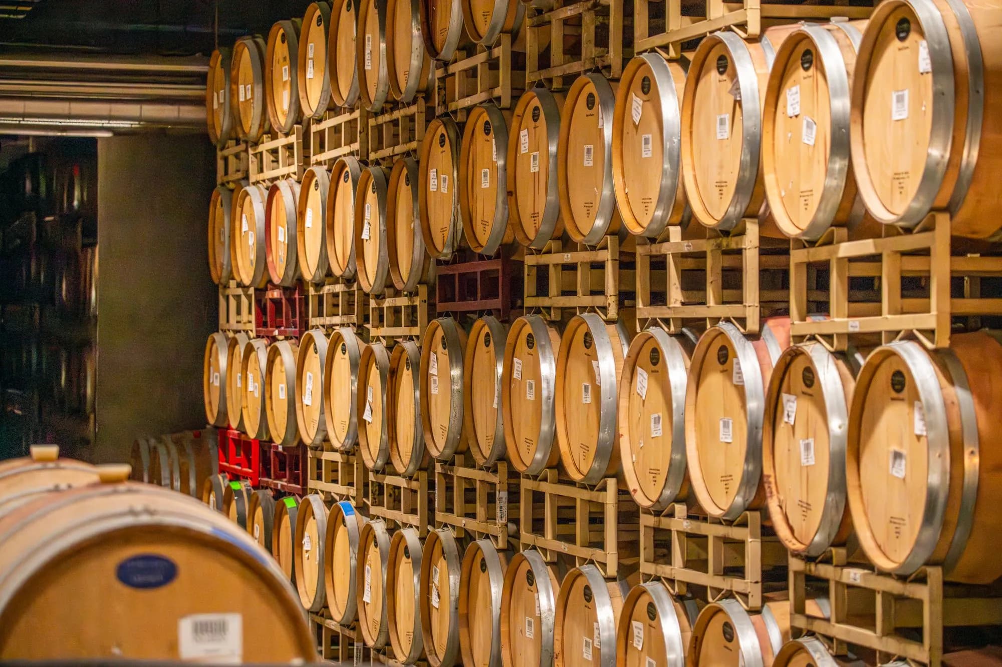 Rows of oak barrels aging wine in a winery cellar