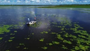 Sunset Wetlands Boat Cruise