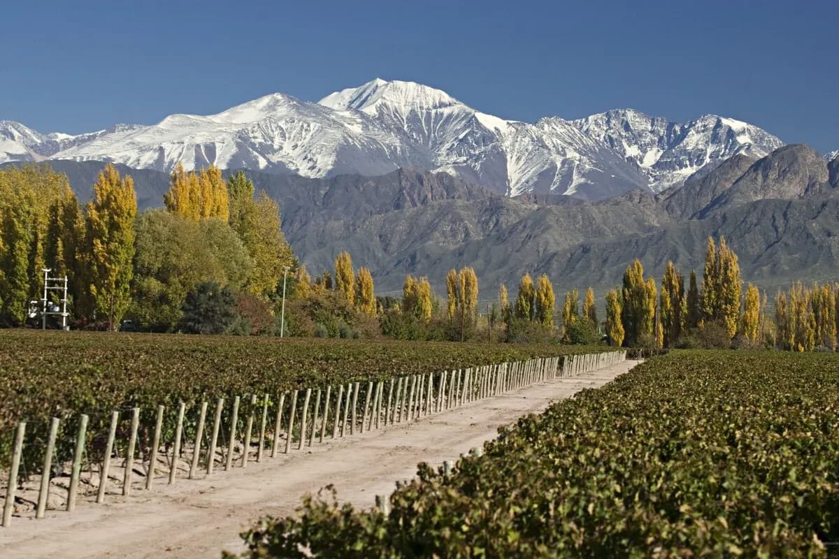 Mendoza Wine Country, Argentina