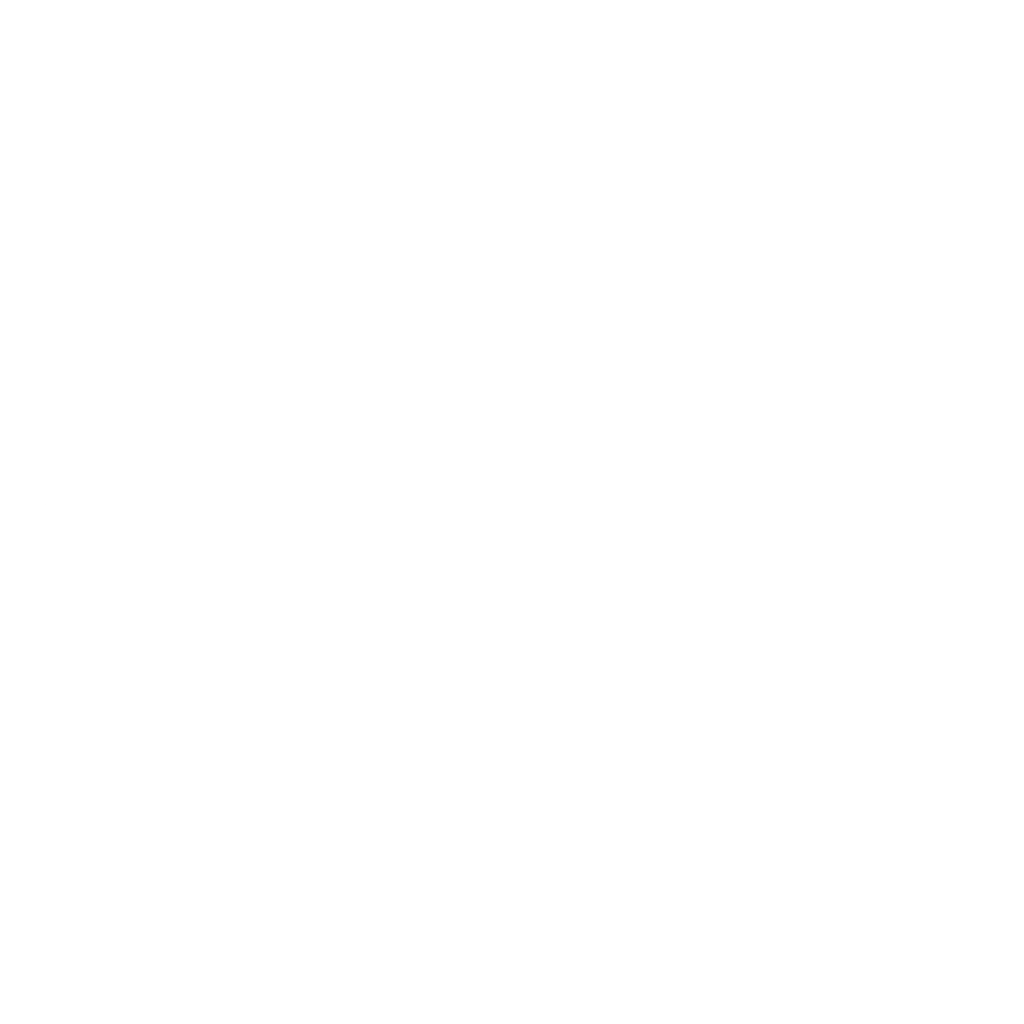 Horizon Travel Auctions