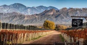 Dirt road leading into a rustic Mendoza vineyard with autumn vines and dramatic mountain backdrop