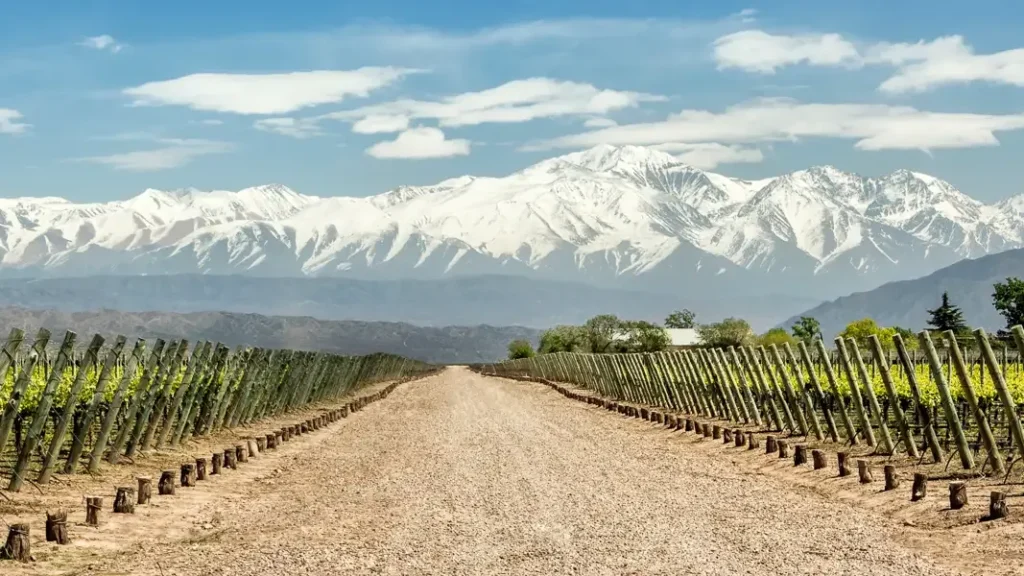 Scenic dirt road stretching through vineyards towards the majestic snow-capped Andes mountains