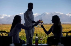 Silhouette of friends toasting wine glasses with a stunning backdrop of vineyards and the snow-capped Andes mountains